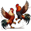 Sabung Ayam
